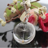 Natural Dandelion Seed Long Necklace