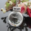 Natural Dandelion Seed Long Necklace